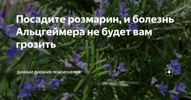 В заключение
